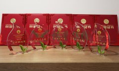 “仲博杯”浙江省节地生态安葬设计作品奖