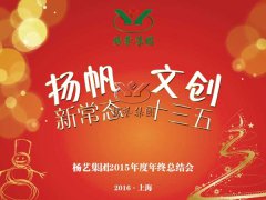 年终会：记2015年终总结大会暨2016年计划会议